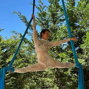 Amy Myers: Aerial Dance Retreat April 23-30, 2027