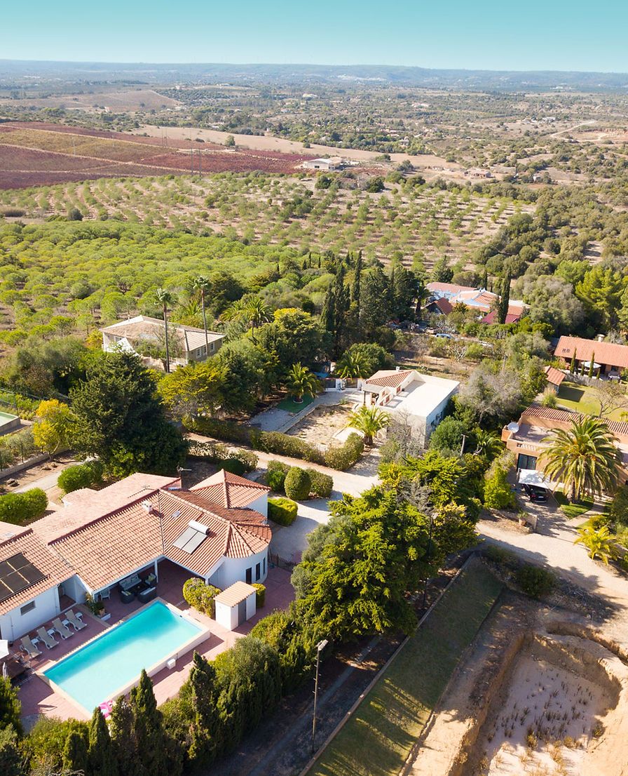 Aerial view of Casa Funchal and its pool among olive groves