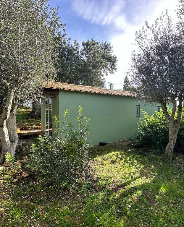 The green Fairy Garden Cabin among olive trees