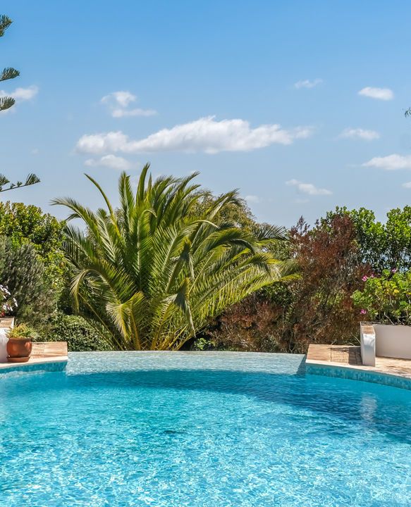 Casa Monte Cristo Tres infinity pool framed by palms