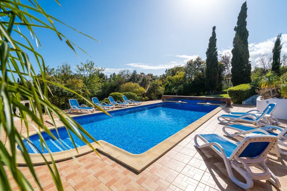 Pool with loungers framed by palm leaves