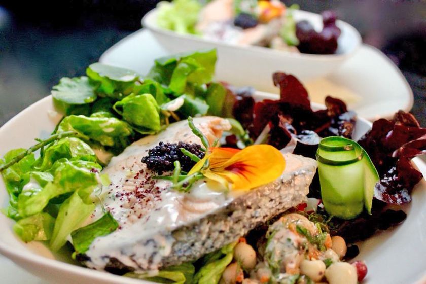 Salmon fillet on a green salad with an edible flower