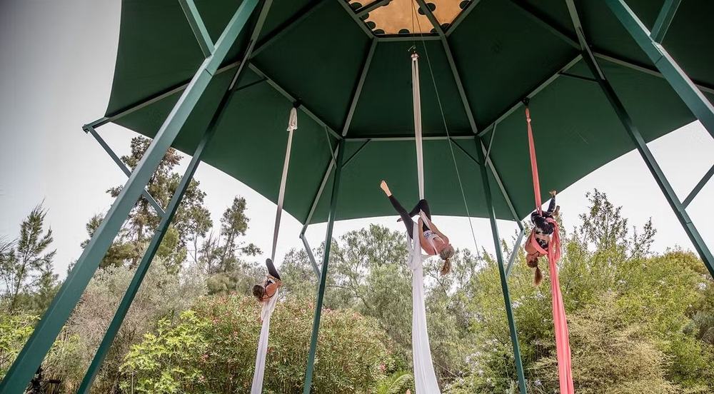 House of Honey Aerial Studio is a hexagon