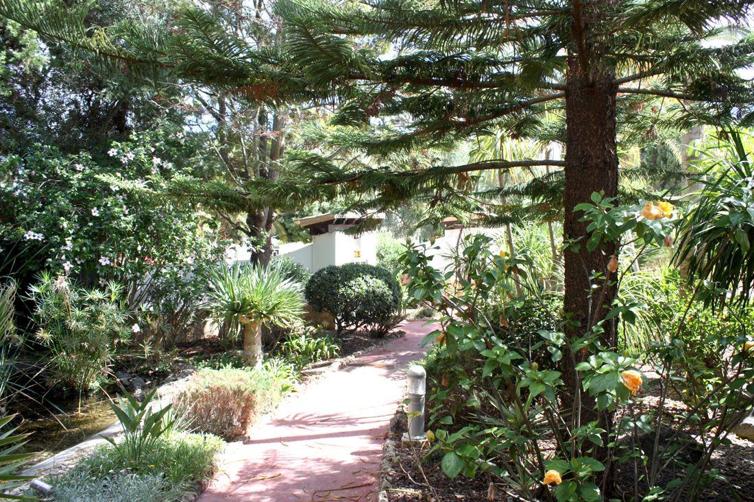 Casa Monte Cristo 5 apartments, gallery photo 6